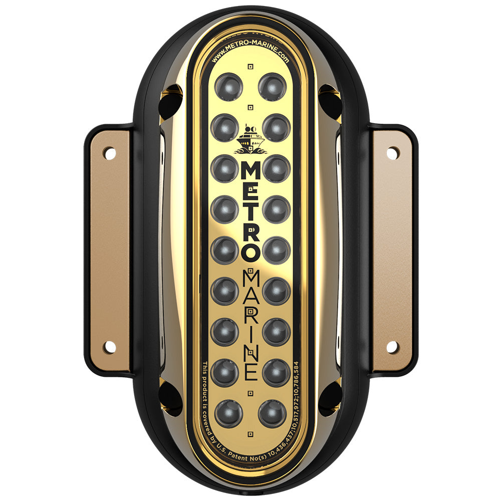 Metro Marine HighOutput Vertical Surface Mount Light wIntelligent Monochromatic LEDs Blue 90 Beam FSME1VB390
