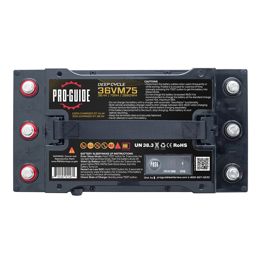 Alpha Series Lithium Battery  36V  75AH  Group 31 Tall 36VM75