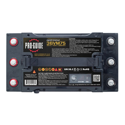 Alpha Series Lithium Battery  36V  75AH  Group 31 Tall 36VM75